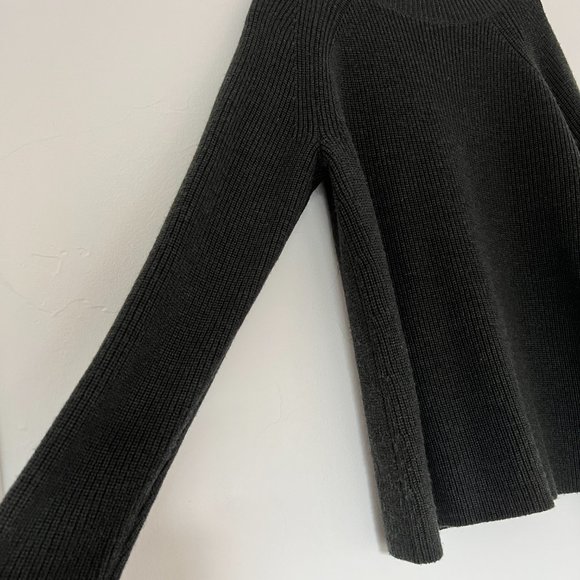 Eileen Fisher | Superfine Merino Wool Turtleneck Raglan Sweater | Ivy | Petite M - Picture 5 of 10